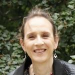 Armonia lemaitre